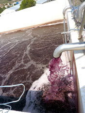 depuradora en bodega