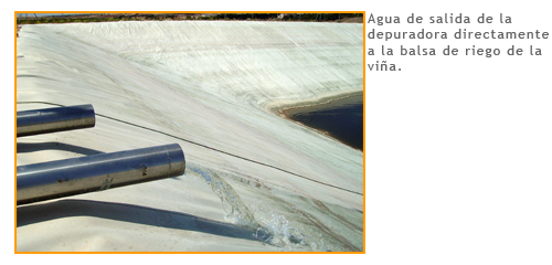 Agua de salida de la depuradora directamente a la balsa de riego de la vi�a.