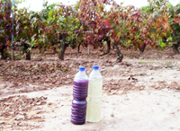 Agua entrada depuradora y agua salida depurada