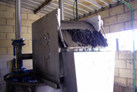 Tamiz rotativo eliminando restos de uva en plena campa&ntilde;a vendimia